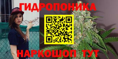 гашиш Краснознаменск