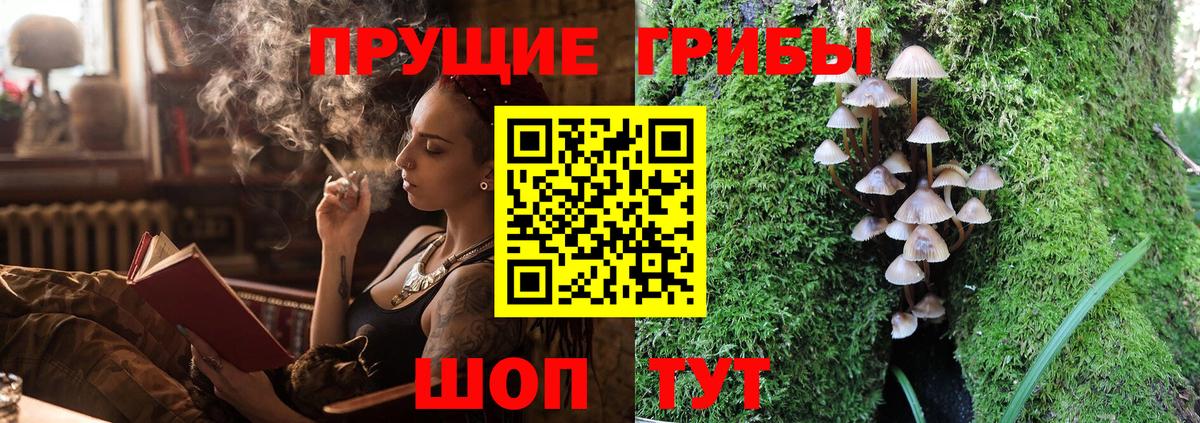 Галлюциногенные грибы Psilocybe Железногорск