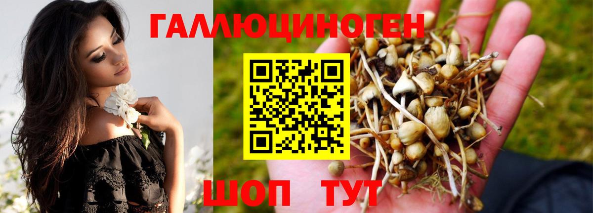 Железногорск  Псилоцибиновые грибы GOLDEN TEACHER  Вход с VPN 